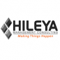 Hileya - Management Consulting logo